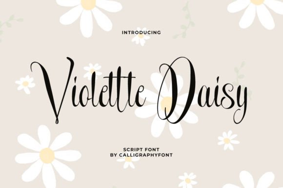 Exploring the Elegance of the Violette Daisy Script