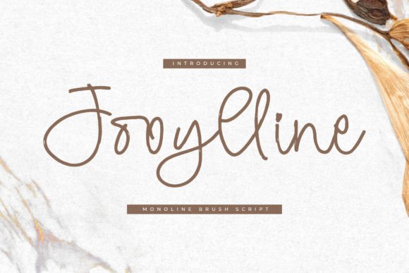 Jooylline: A Fresh Take on the Monoline Script